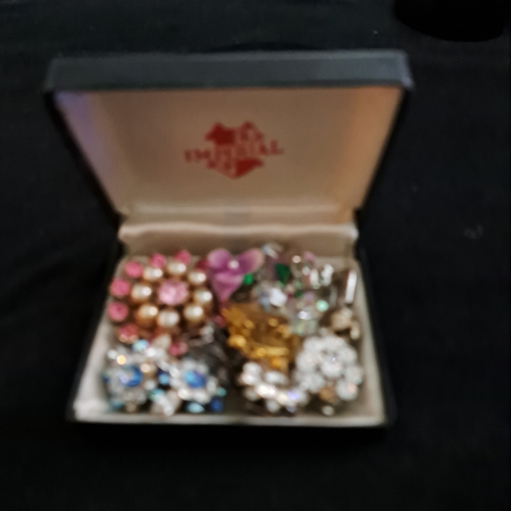 Elegant Multi-Color Brooch, earrings